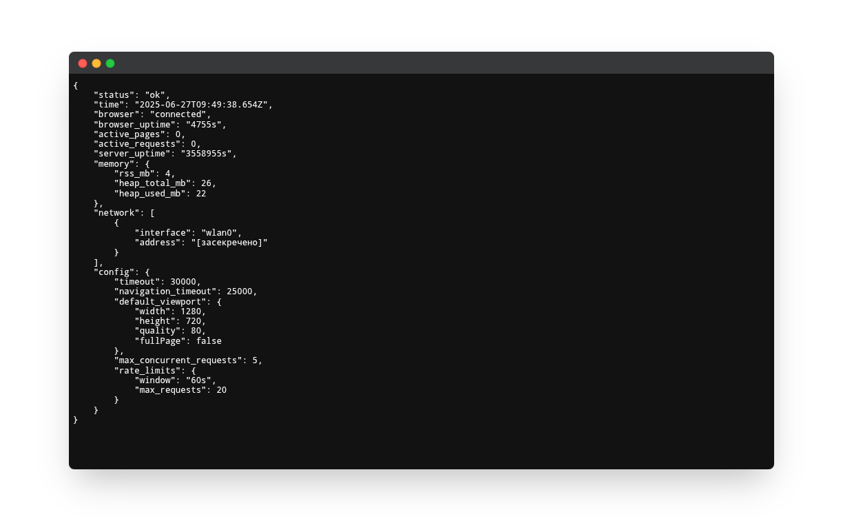 Поточний JSON‐звіт сервера Puppeteer